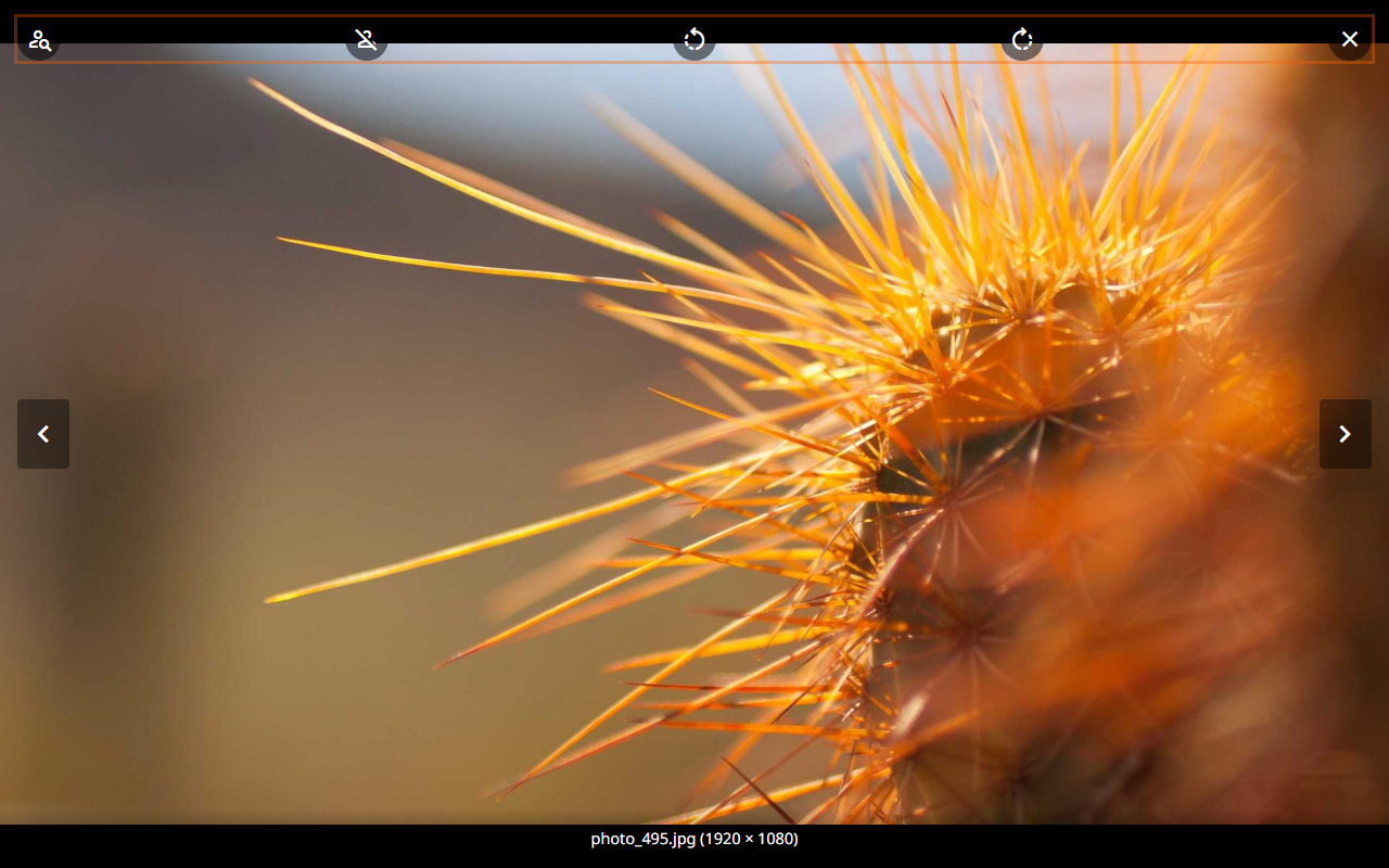 Fullscreen image viewer with zoom controls